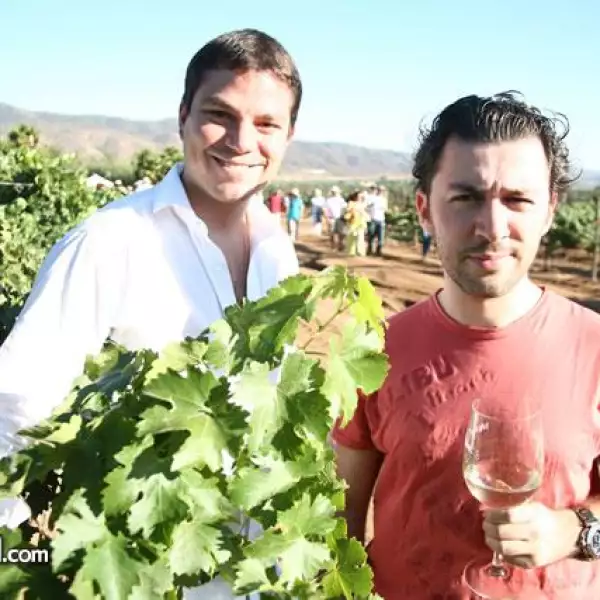 Vendimia Monte Xanic