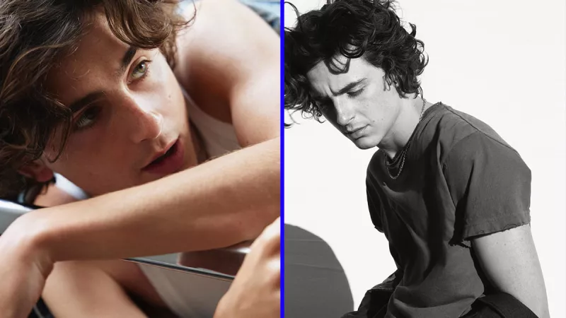 Chanel nombra oficialmente a Timotheé Chalamet como el nuevo embajador de Bleu. 