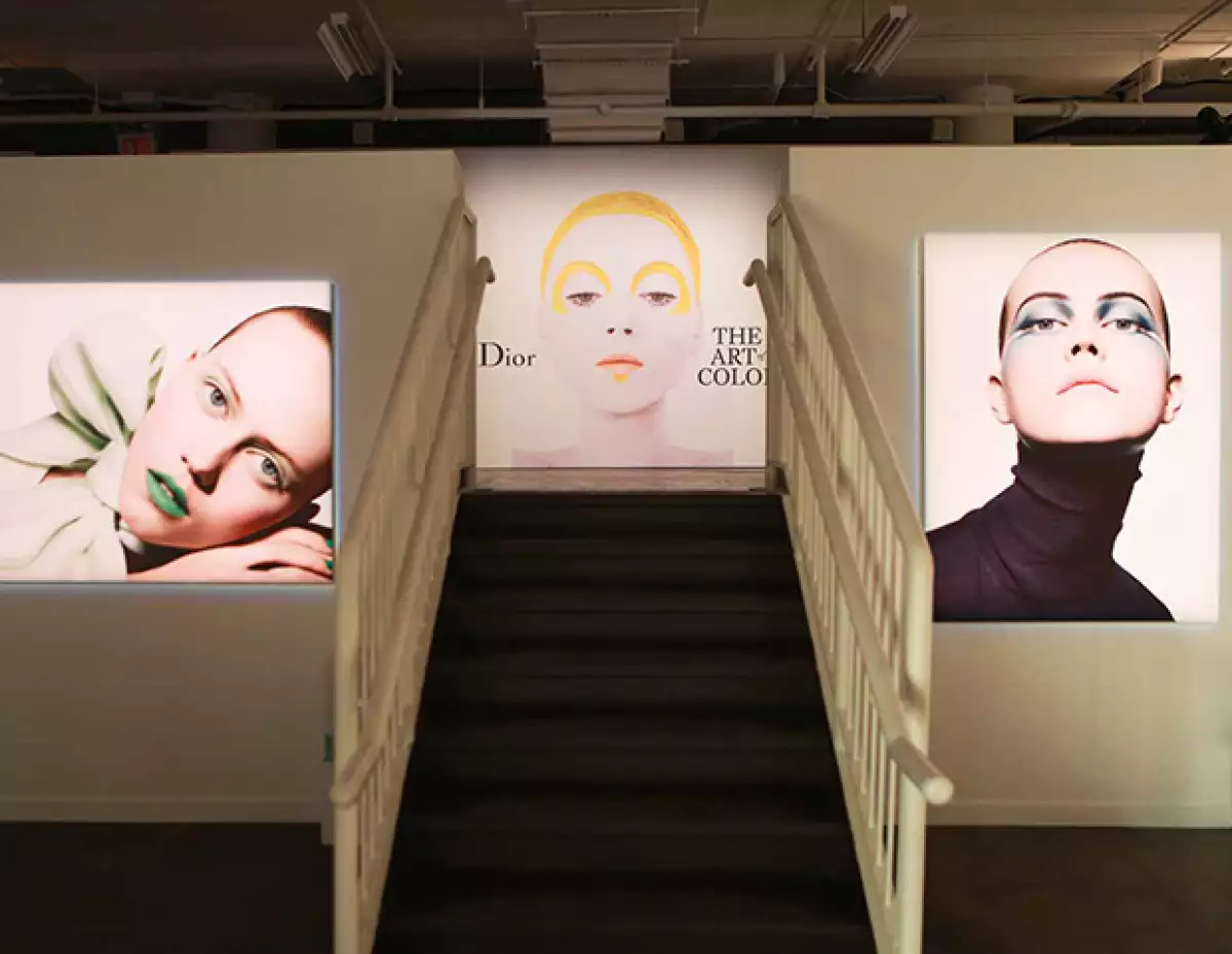 The Art Of Color