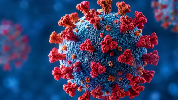 Imagen similar a un virus visto microscópicamente en color rojo y azul.jpg