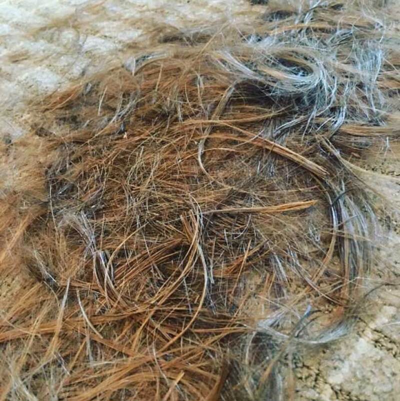 Esta fue la foto con la que anunció su nuevo corte.