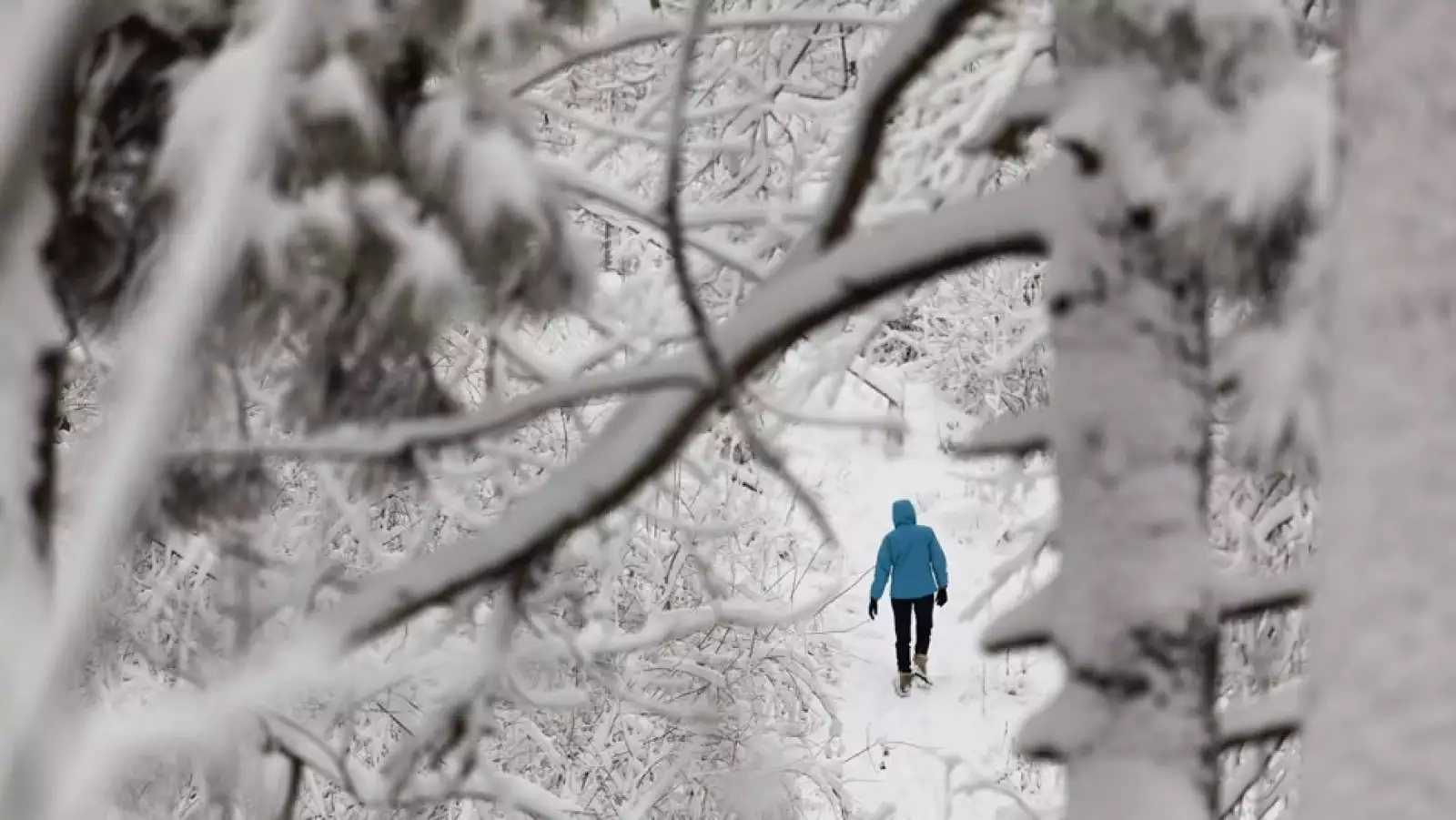 una persona camina en un parque en milwaukee