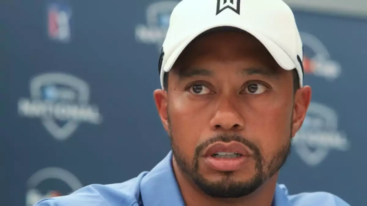 tiger