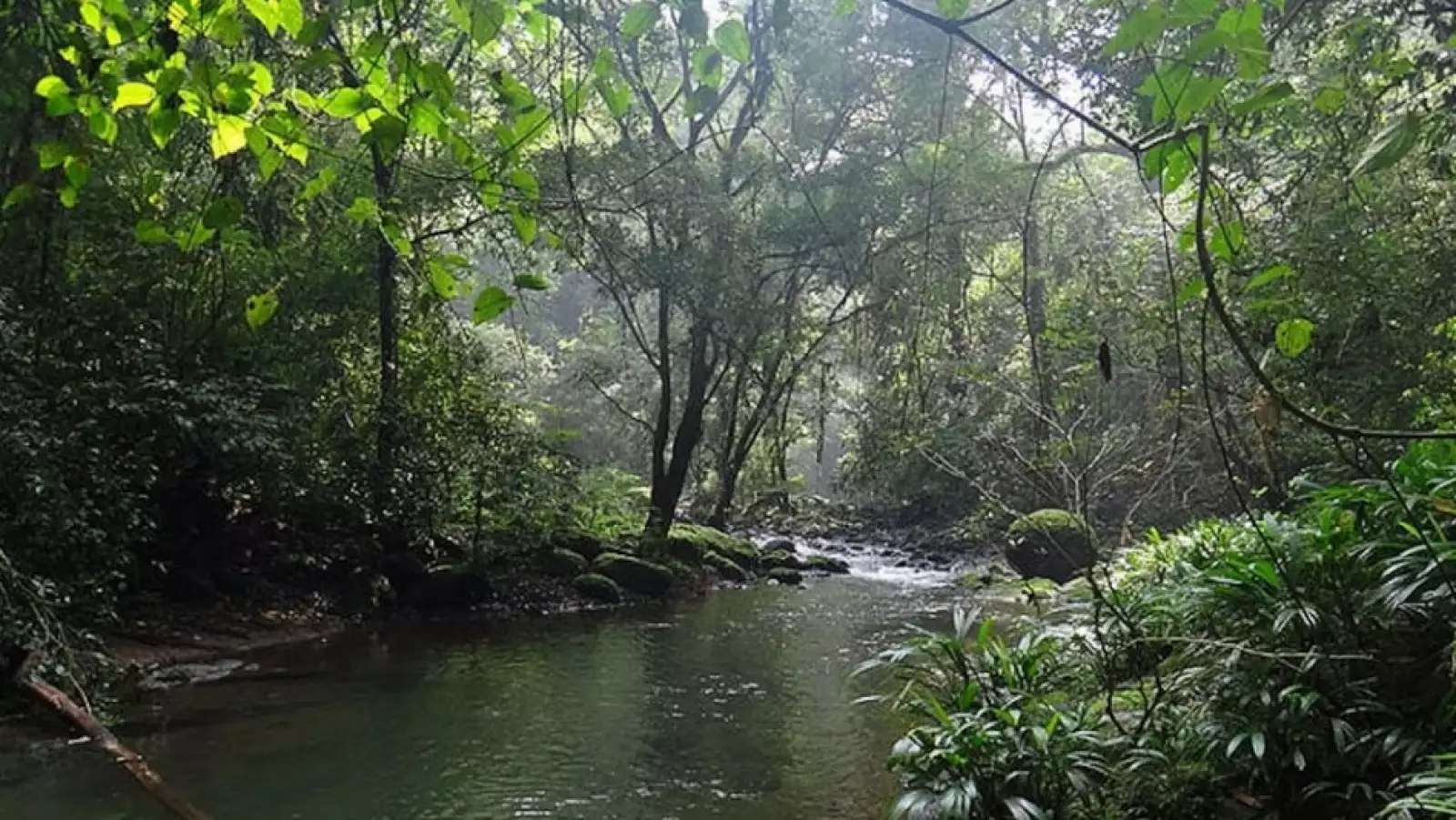 Senda Trans-Panamá (Panamá)