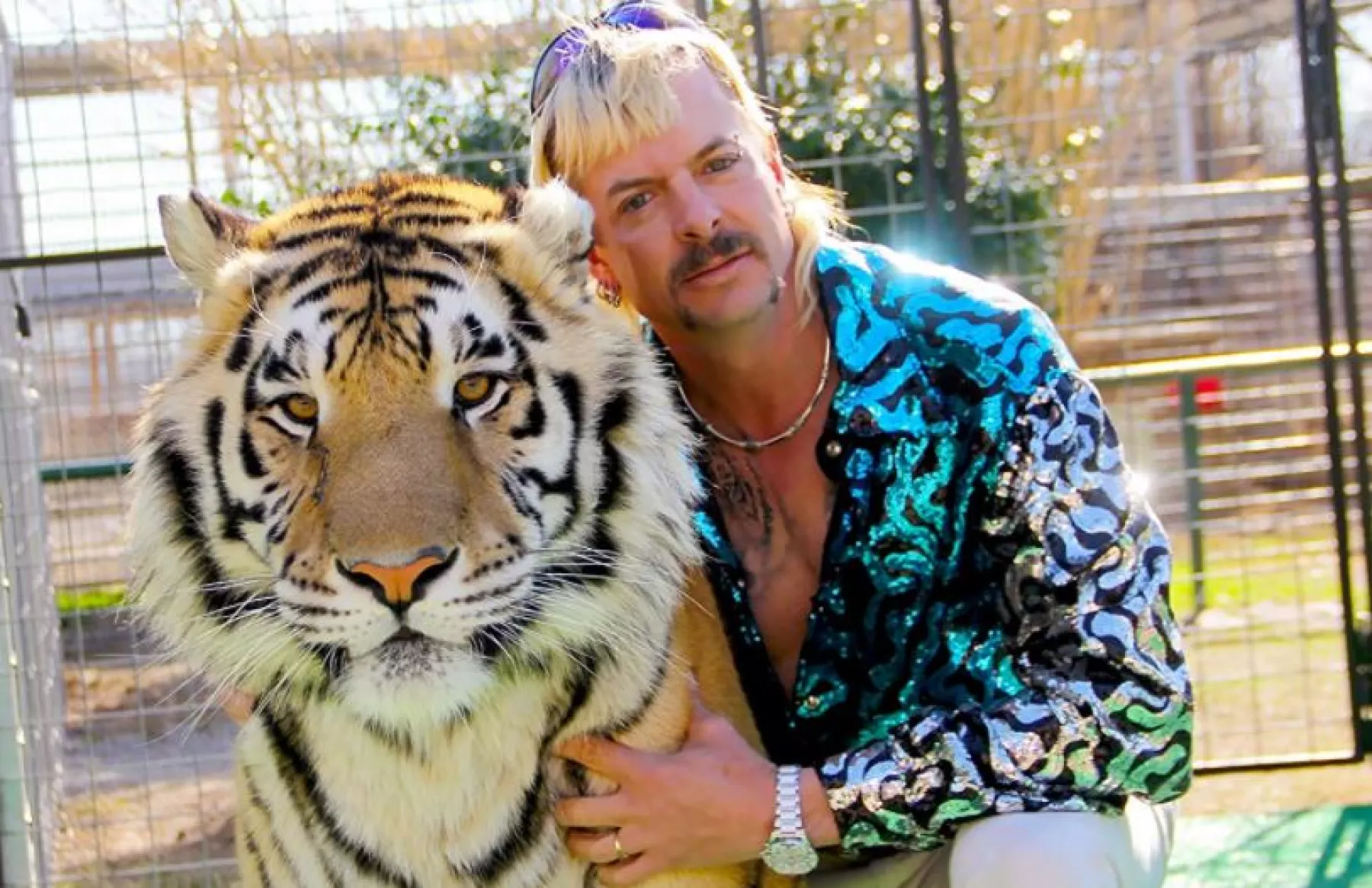tiger king