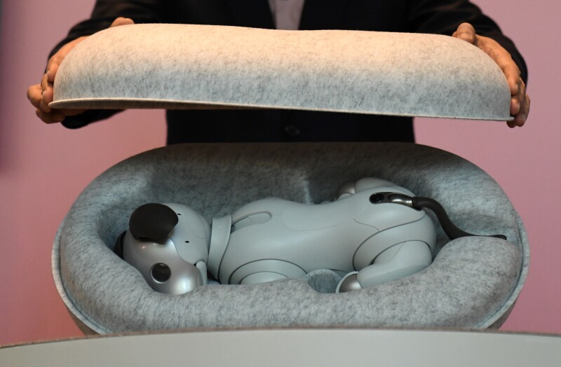 Aibo