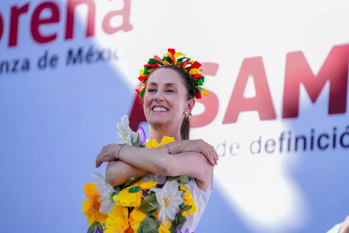 sheinbuam encuesta morena.jpg