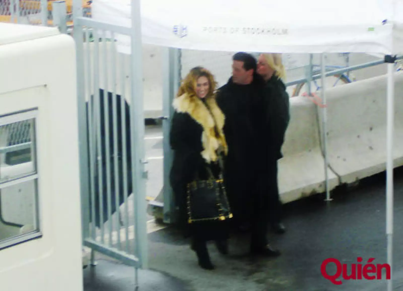 Araceli Arámbula, Luis Miguel