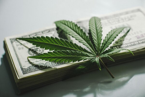 180822 marihuana is Yarygin.jpg