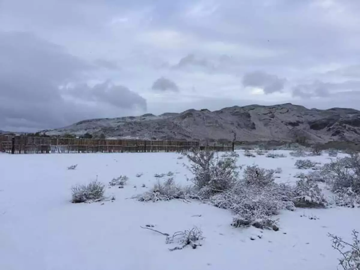 Zona nevada