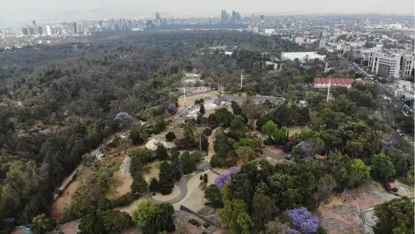 Bosque de Chapultepec