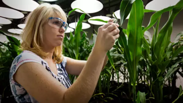 La empresa cerrará un total de 3,600 plazas de trabajo. (Foto: Getty Images)