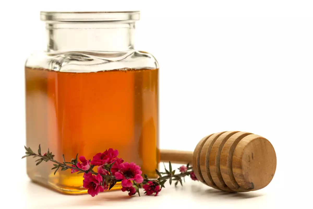 La miel de manuka, un poderoso antibiótico