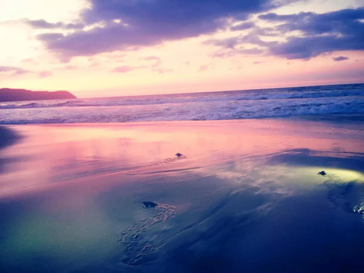 La actriz compartión esta bella imagen de su expriencia en al mar.