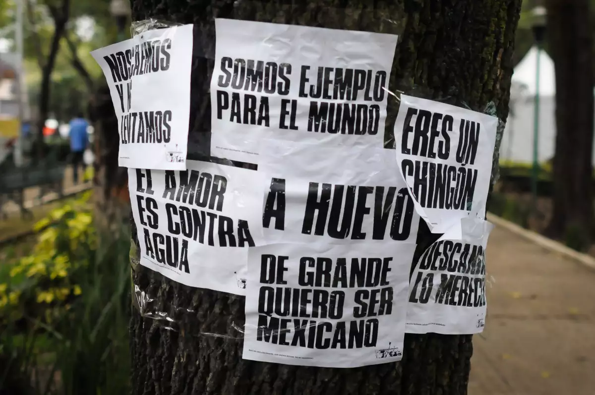 Sismo