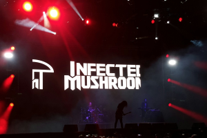 Infected Mushroom