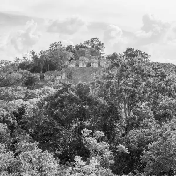 Así es en la actualidad la zona donde se construirá la Estación Calakmul