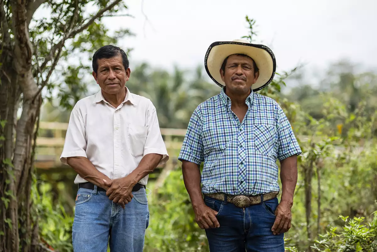 manglares-tabasco-refineria-dos-bocas.jpg