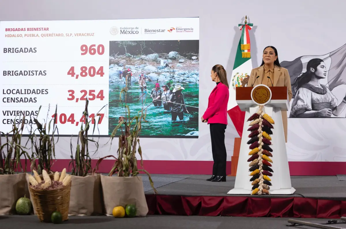 apoyos-damnificados.jpeg