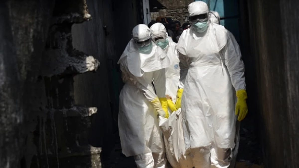 Trabajadores de la Cruz Roja cargan el cuerpo de una víctima del ébola en Monrovia, Liberia