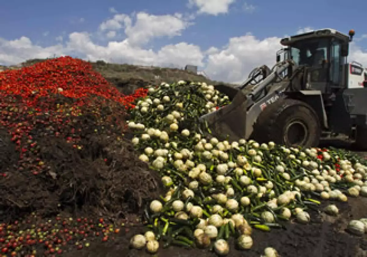 Los agricultores españoles estiman pérdidas por unos 200 millones de euros a la semana. (Foto: Reuters)