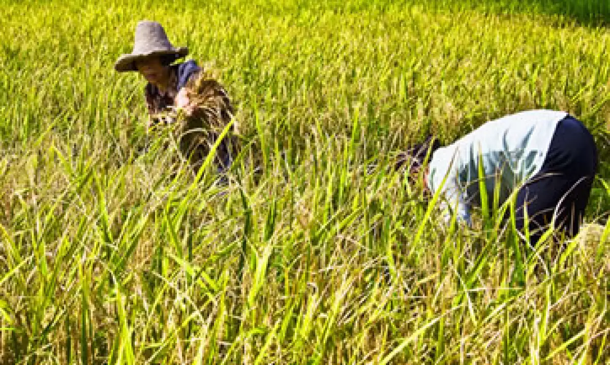 La prohibición abarca desde pequeñas cantidades para consumo personal, así como embarques comerciales. (Foto: Photos to Go)