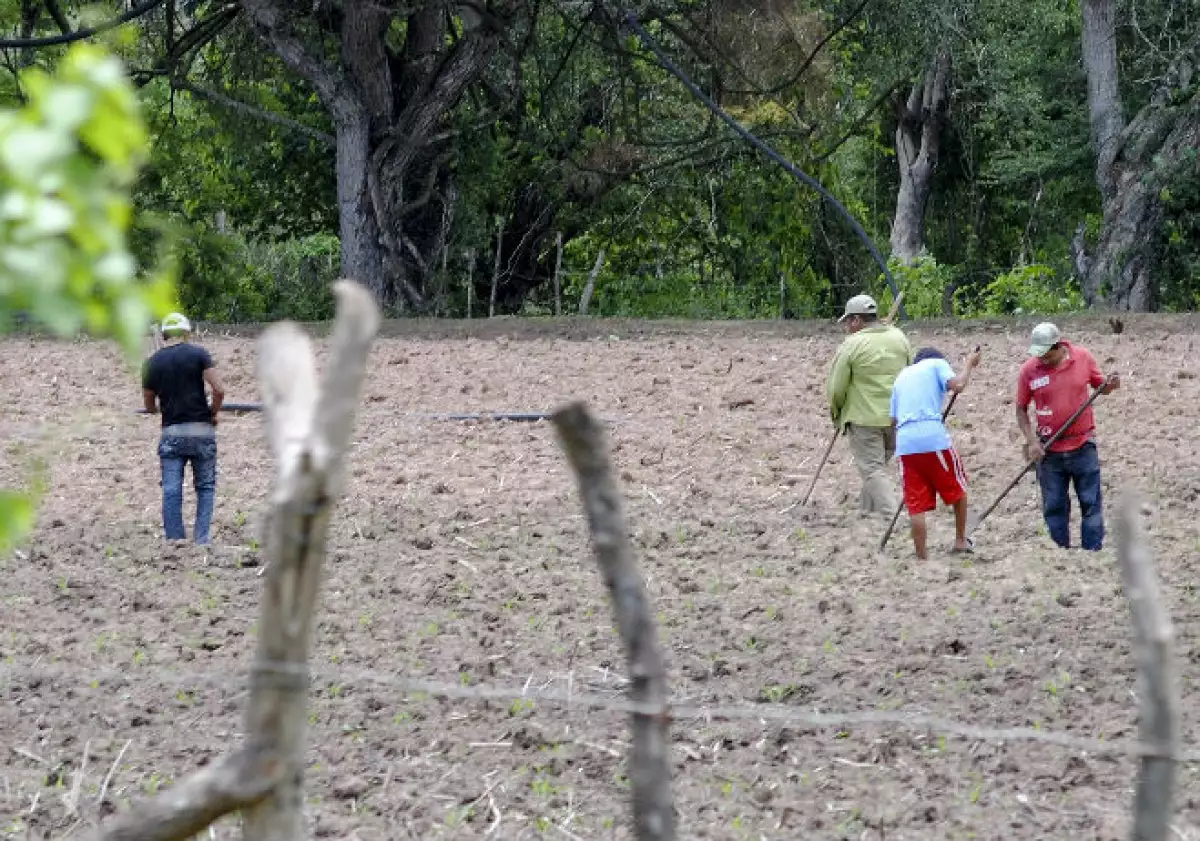 campesinos_tierra