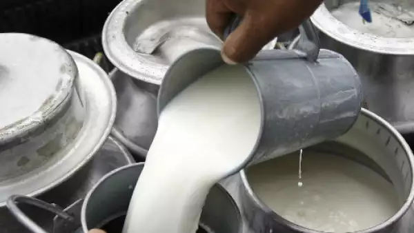 botes de leche