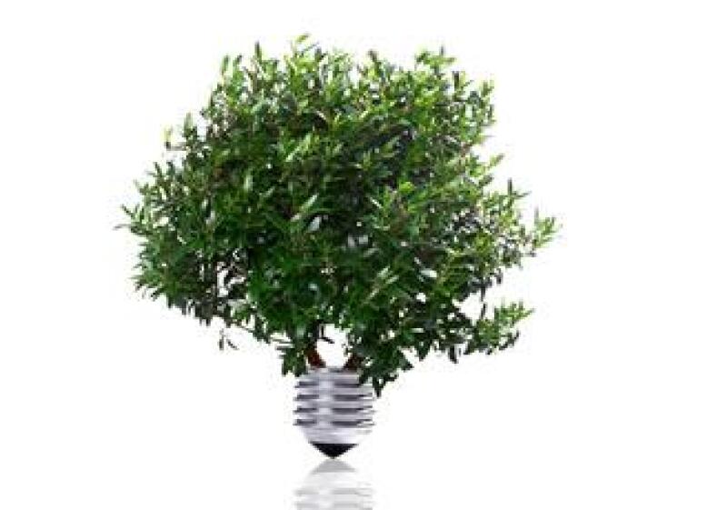 foco verde ecologico energica luz