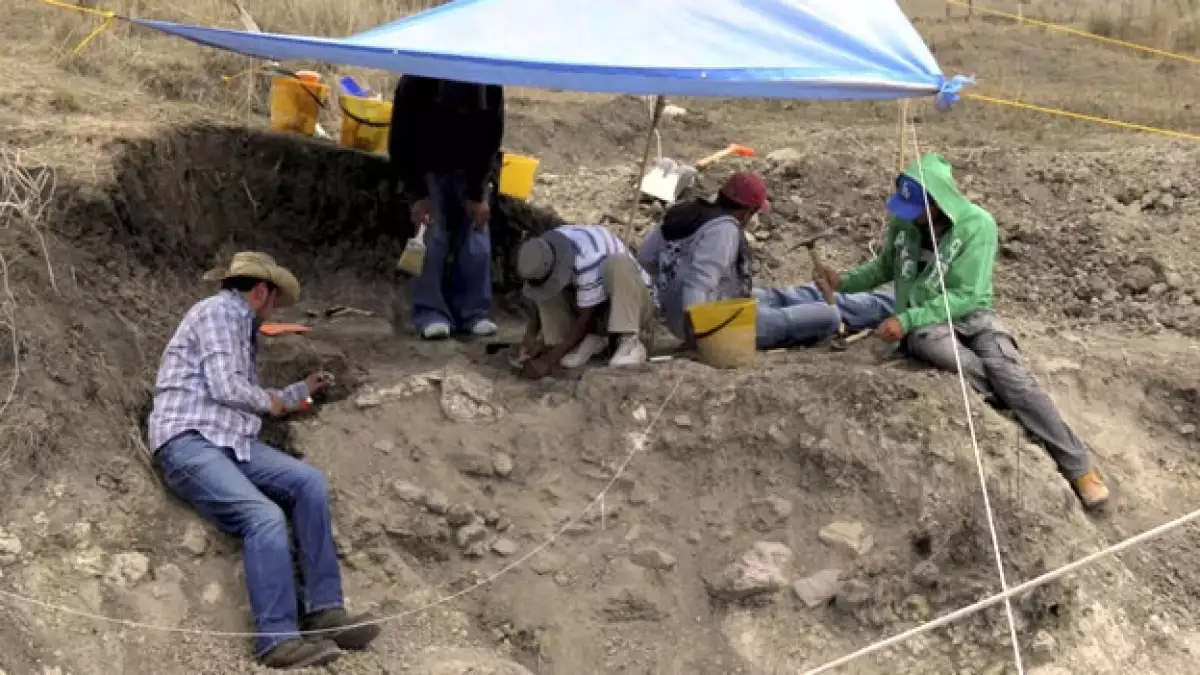 Arqueólogos trabajan en el lugar donde fueron encontrados los restos de un mamut