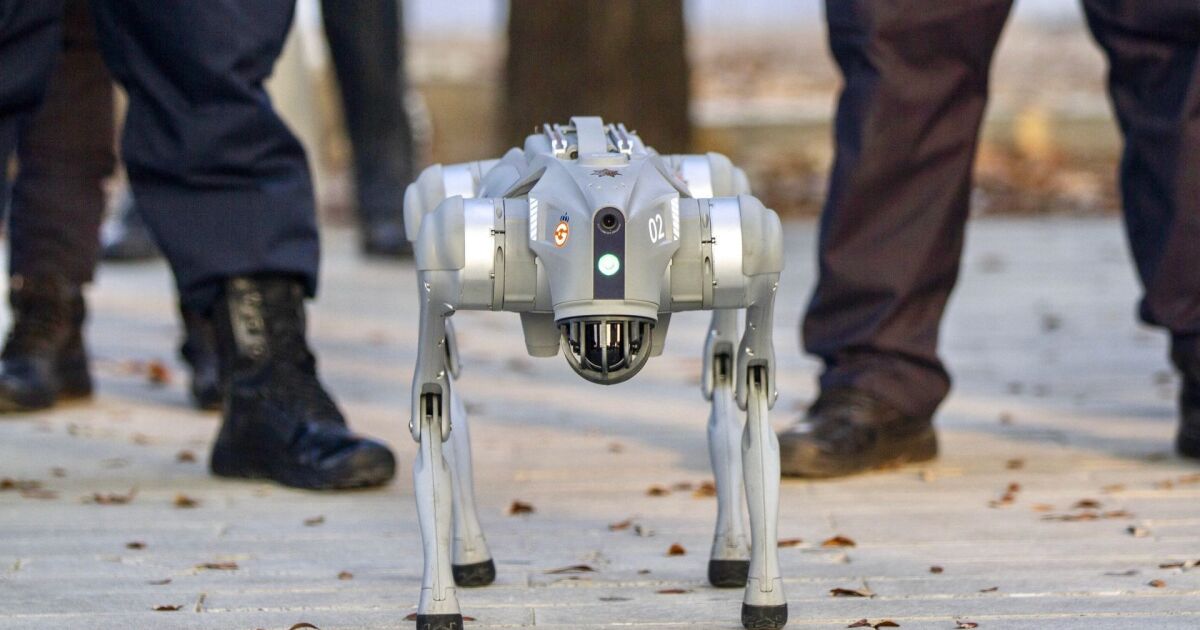 PERROS ROBOT: DE SHOW A ALIADOS INDUSTRIALES