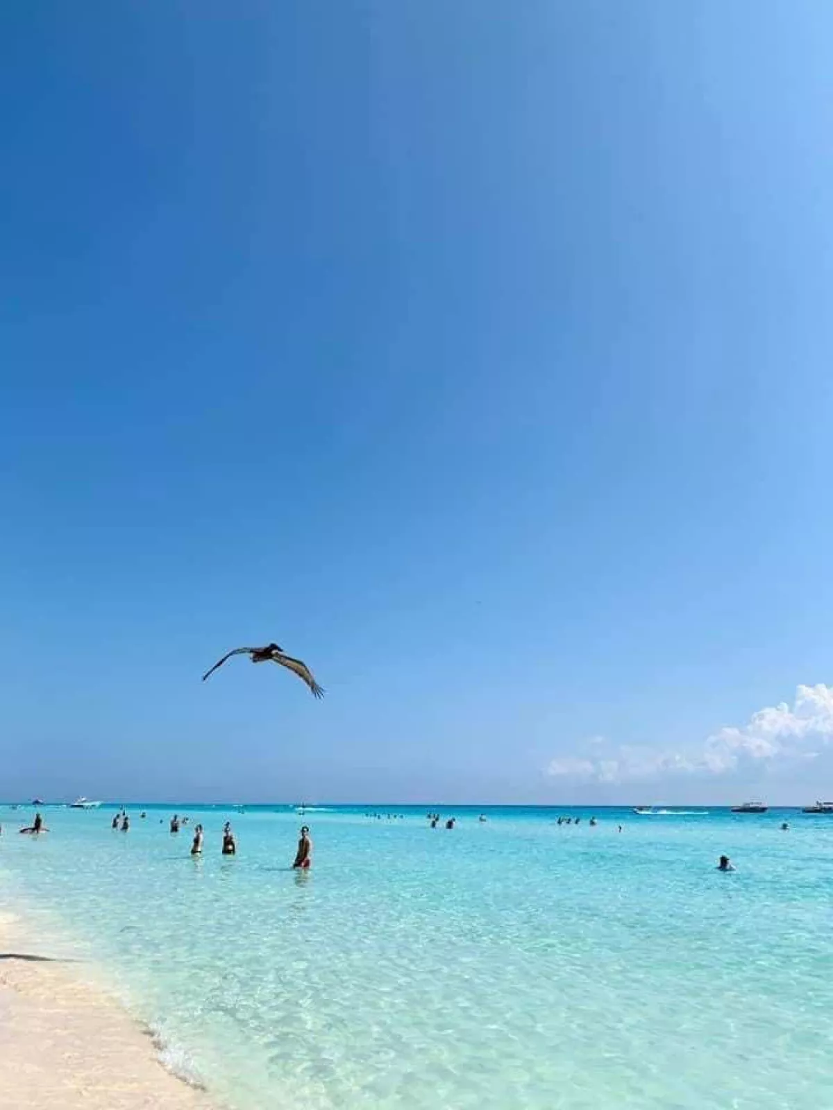 Cumbre WTTC Cancún 2.jpg