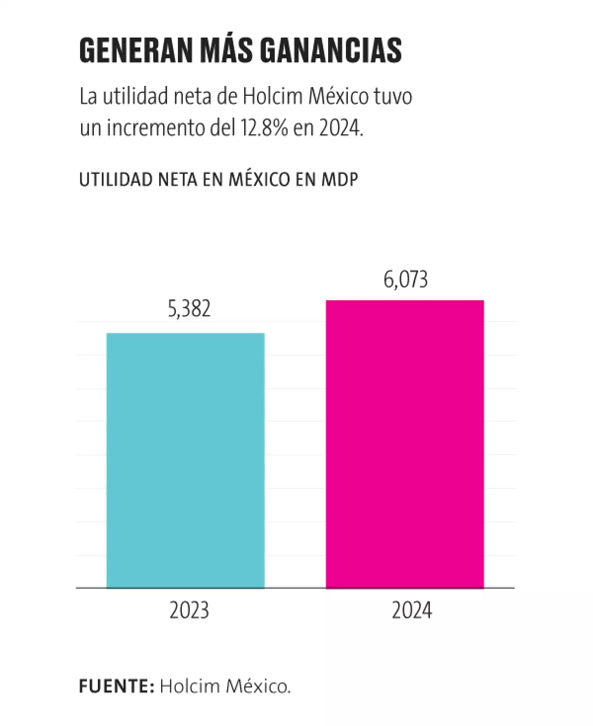 Holcim Utilidad