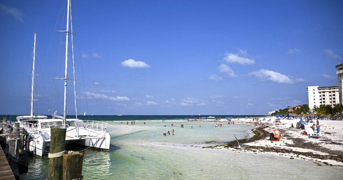 ¡AGUAS CON LAS PLAYAS! SEMARNAT LANZA APP PARA SABER DÓNDE SÍ NADAR