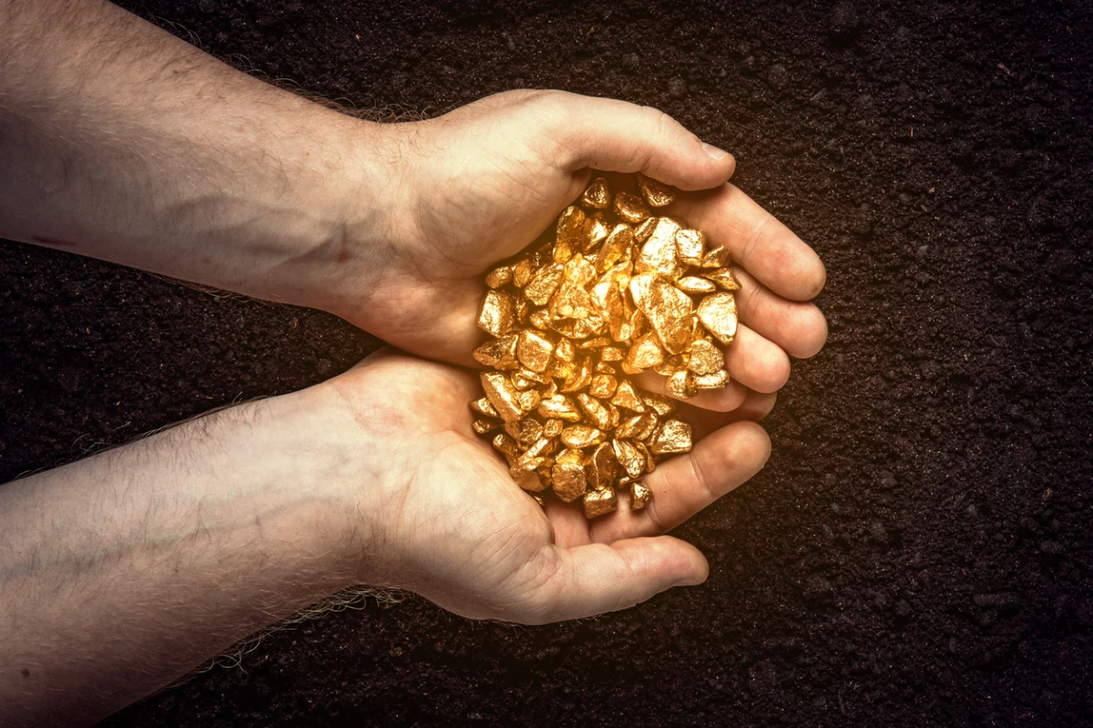 Gold nuggets the hands of the miner. The working hands of a peasant with pure gold. top view