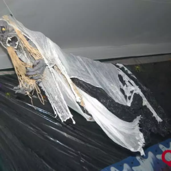 Aspectos. Fiesta de cumpleaños de Stephanie Dieter