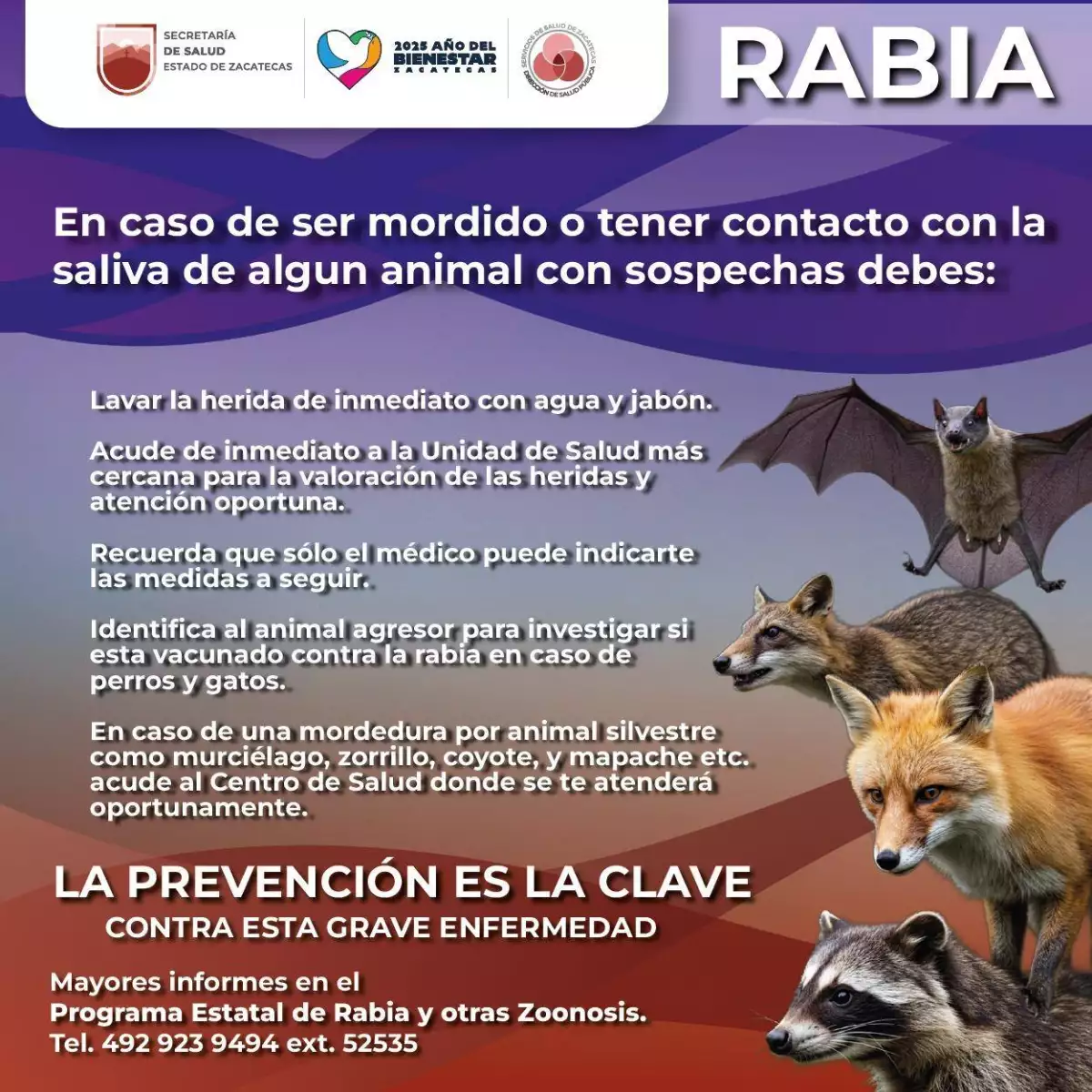 Rabia Zacatecas