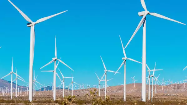 parque e�lico en el desierto