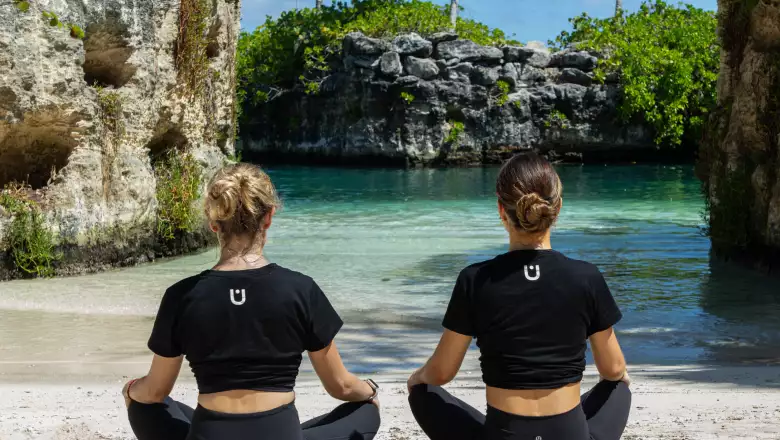 Experiencia holística