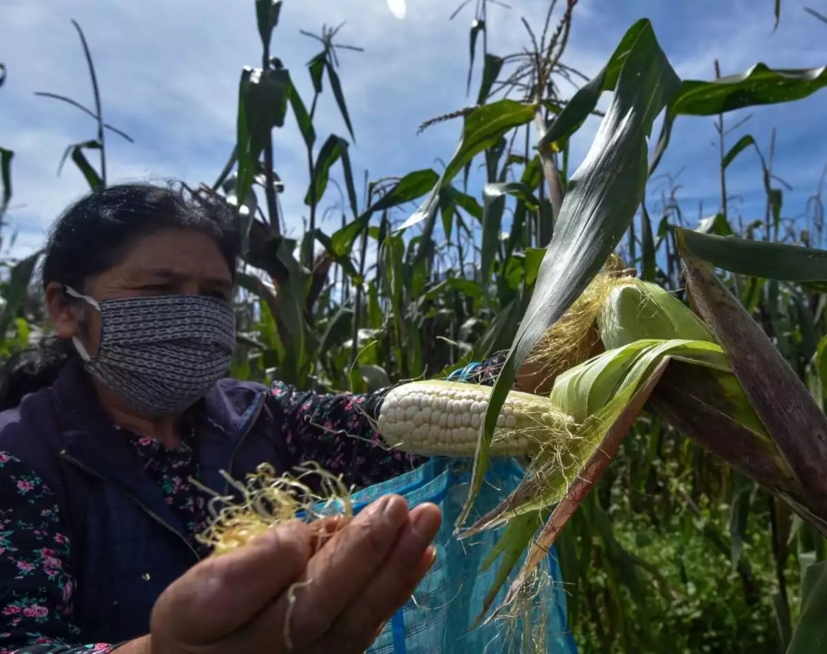 Las madres del campo, líderes incansables
