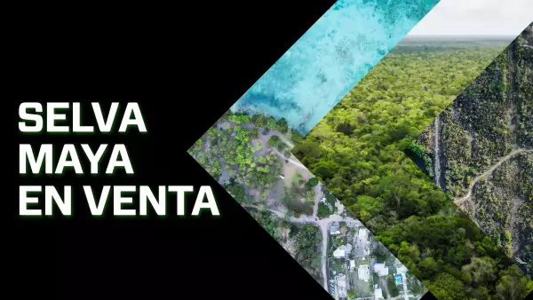 Selva Maya en VEnta.jpg