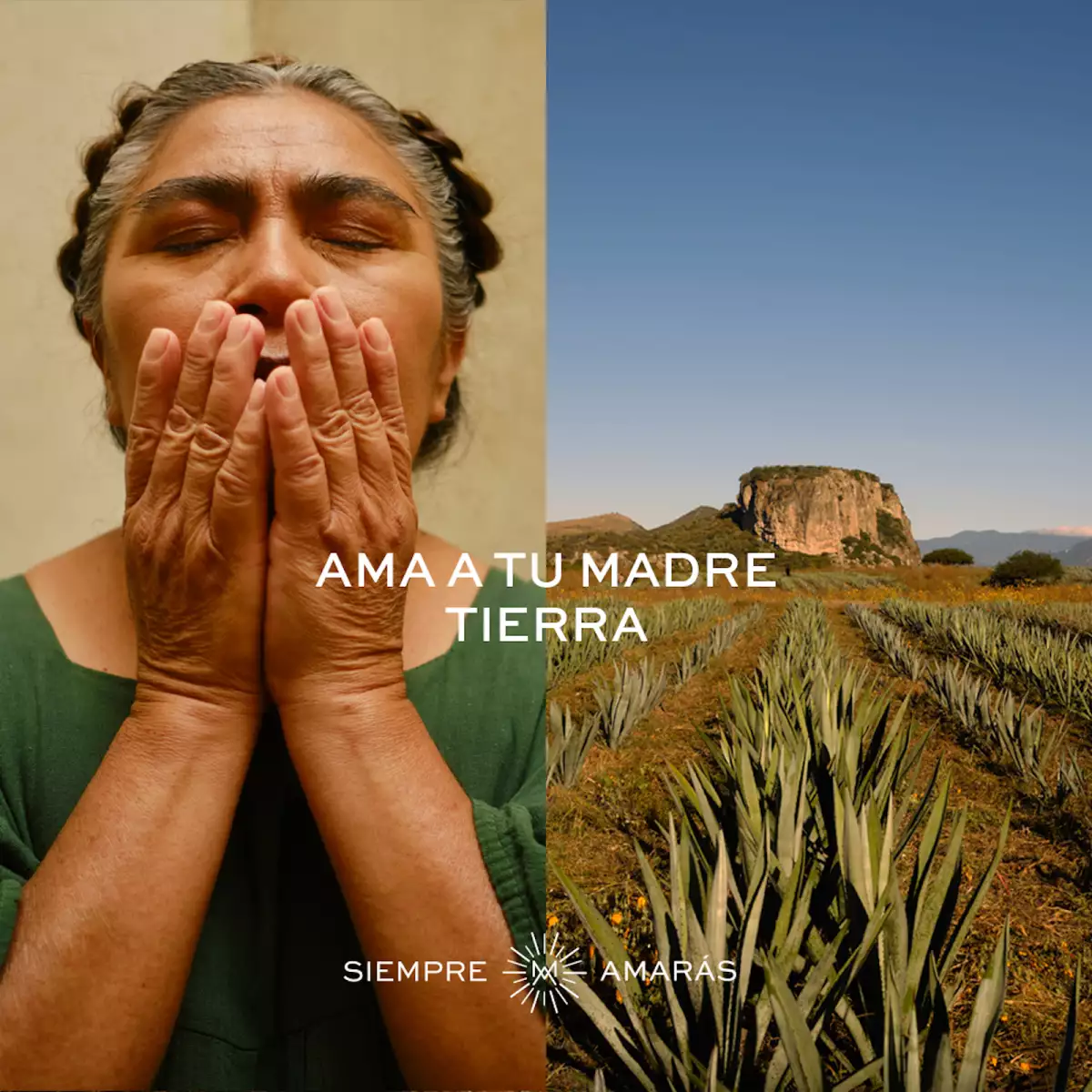 Life and Style Mezcal Amarás 1.jpg