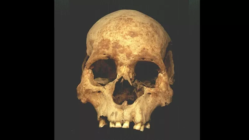 craneo mexica analizado por el inah