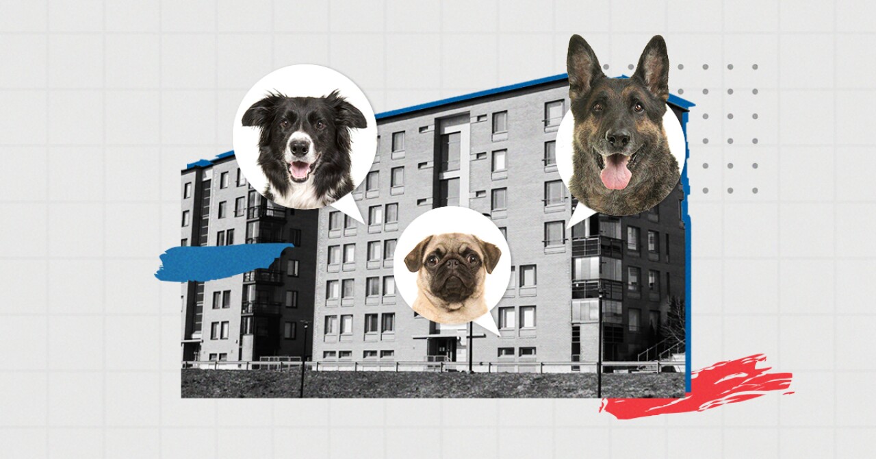 se permiten perros en los condominios