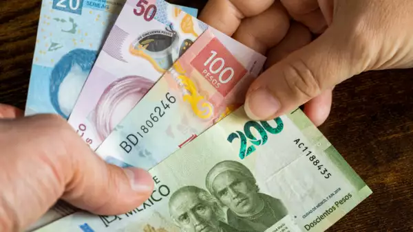 Trinitas no nos representa: Sofomes evitan contagio reputacional tras caso de fraude 