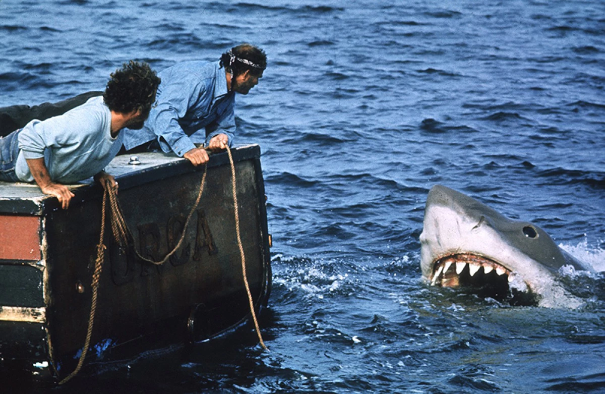 Jaws