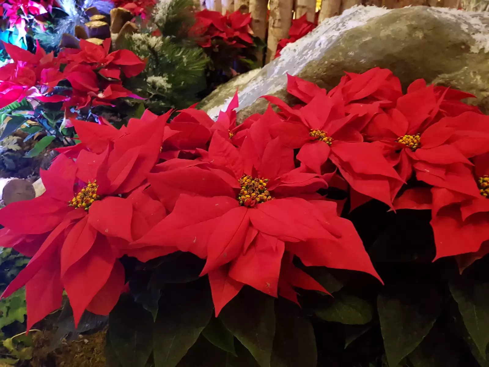 Más resalte, menos realismo