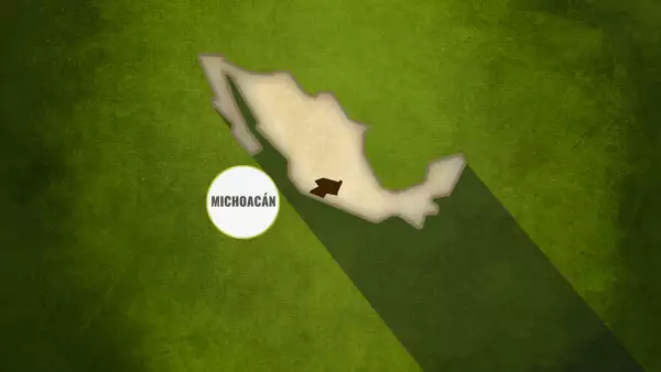 Sin participación estatal