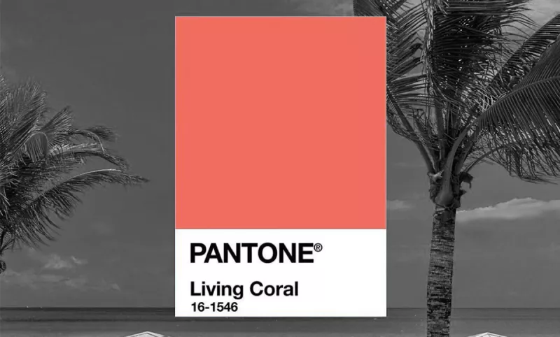 living_coral_marcas_destacada