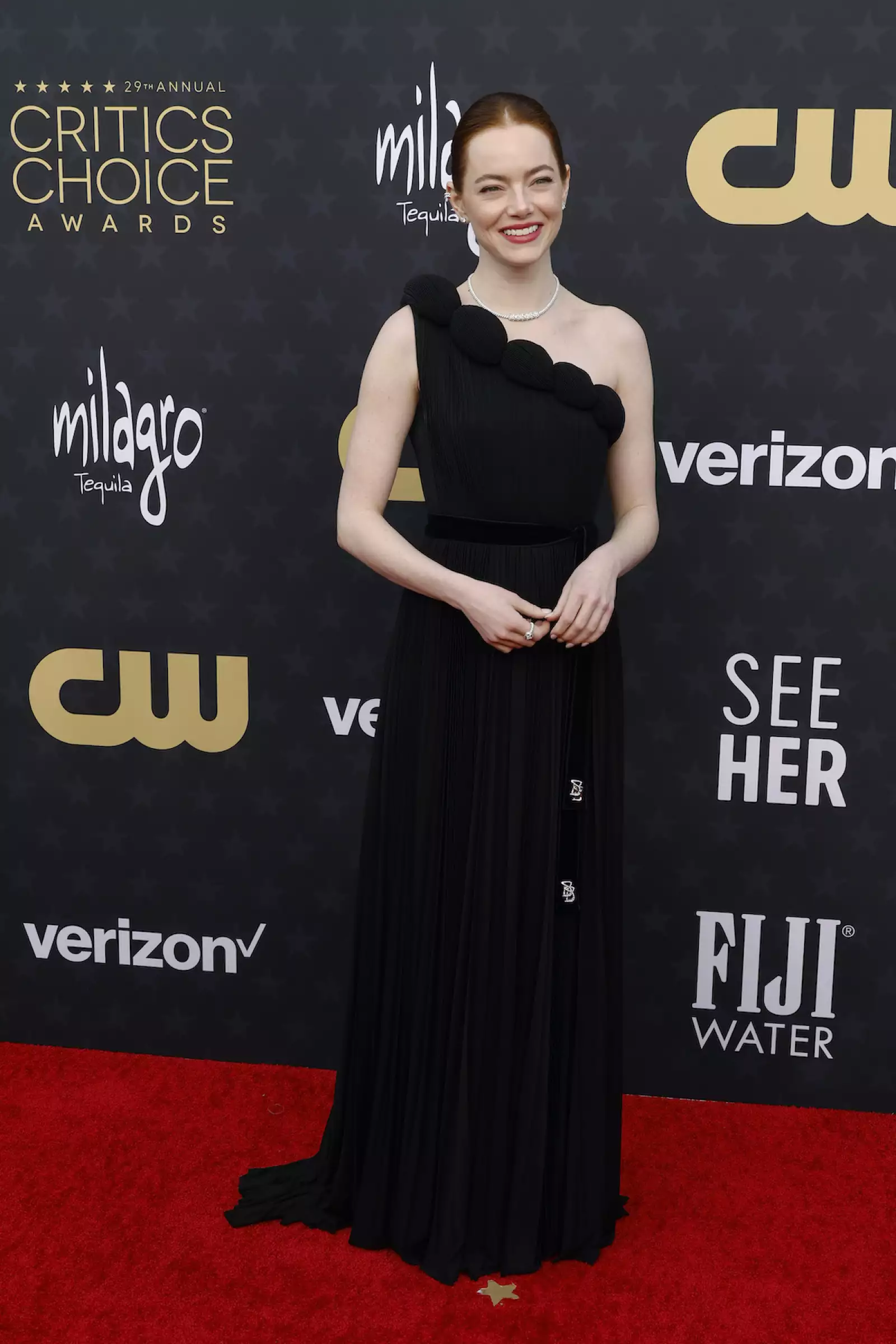 29th Annual Critics Choice Awards - Arrivals